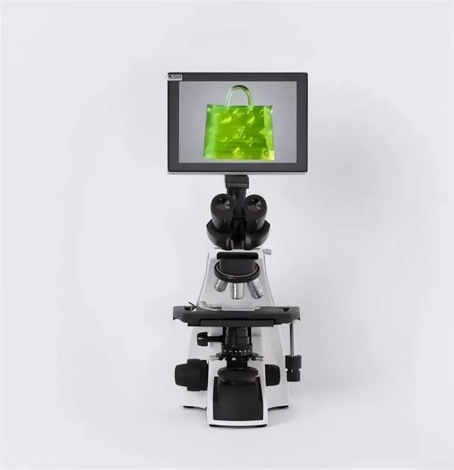 比一粒盐还小的手提包卖46万元！商家附赠一台显微镜，网友：别太离谱