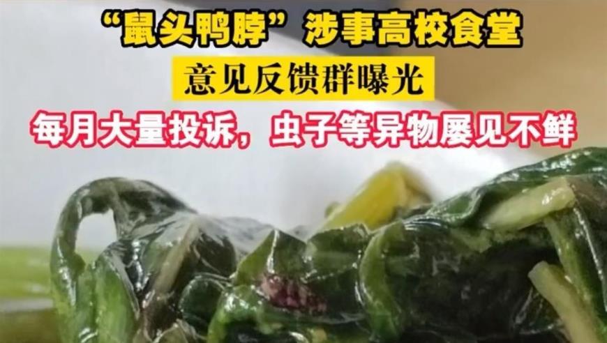 大学生吐槽“鼠头鸭脖”涉事食堂：每月大量投诉，吃出钢丝球、头发、小虫子等异物都算“正常”