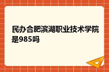 民办合肥滨湖职业技术学院是985吗