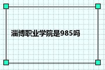 淄博职业学院是985吗