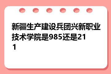新疆生产建设兵团兴新职业技术学院是985还是211
