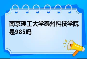 南京理工大学泰州科技学院是985吗