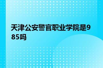 天津公安警官职业学院是985吗