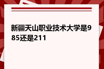 新疆天山职业技术大学是985还是211