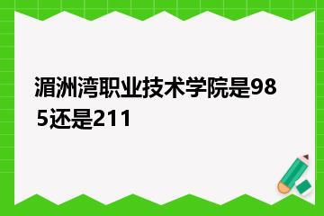 湄洲湾职业技术学院是985还是211