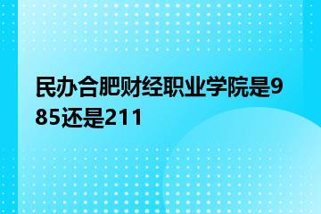 民办合肥财经职业学院是985还是211