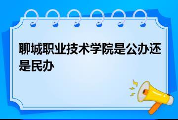 聊城职业技术学院是公办还是民办