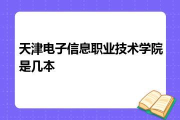 天津电子信息职业技术学院是几本
