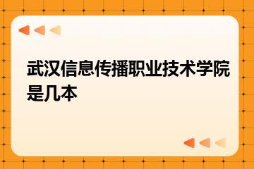 武汉信息传播职业技术学院是几本