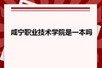 咸宁职业技术学院是一本吗