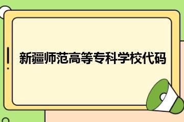 新疆师范高等专科学校代码