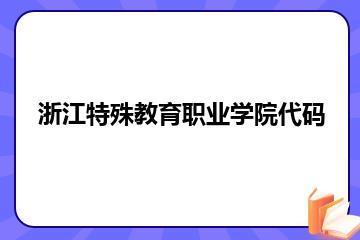 浙江特殊教育职业学院代码