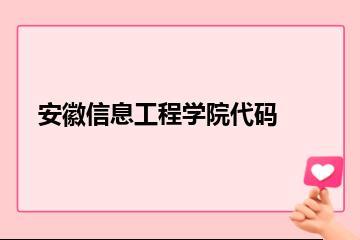 安徽信息工程学院代码