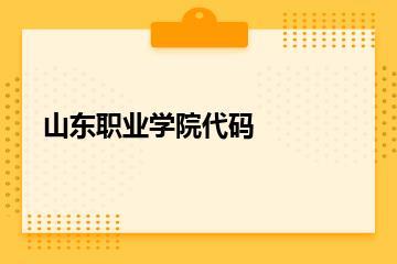 山东职业学院代码