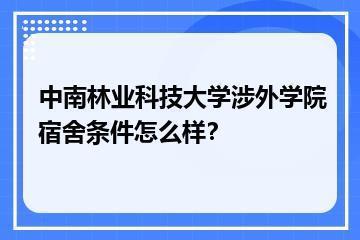 中南林业科技大学涉外学院宿舍条件怎么样？？