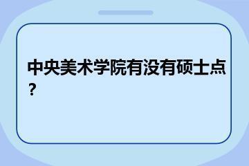 中央美术学院有没有硕士点？？