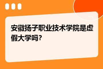 安徽扬子职业技术学院是虚假大学吗？？