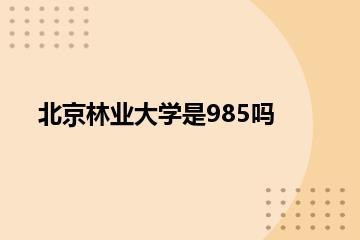 北京林业大学是985吗？