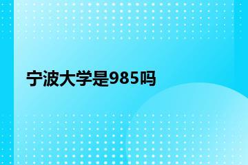 宁波大学是985吗？