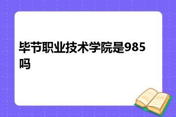 毕节职业技术学院是985吗？