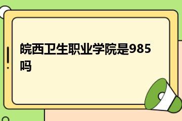 皖西卫生职业学院是985吗？