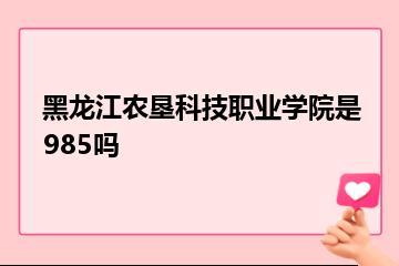 黑龙江农垦科技职业学院是985吗？