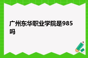 广州东华职业学院是985吗？