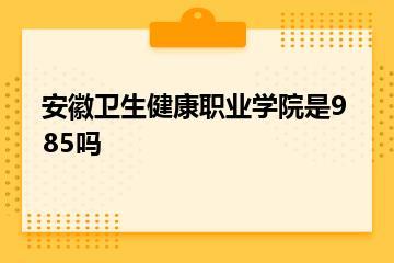 安徽卫生健康职业学院是985吗？