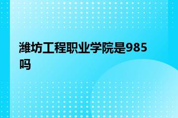 潍坊工程职业学院是985吗？