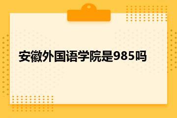 安徽外国语学院是985吗？