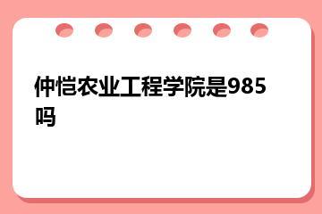 仲恺农业工程学院是985吗？