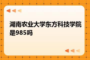 湖南农业大学东方科技学院是985吗？