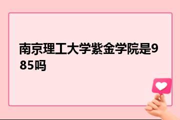 南京理工大学紫金学院是985吗？