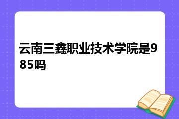 云南三鑫职业技术学院是985吗？