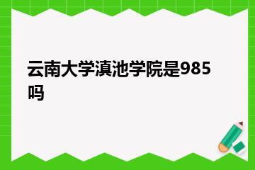 云南大学滇池学院是985吗？