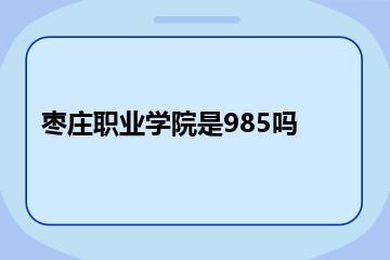 枣庄职业学院是985吗？