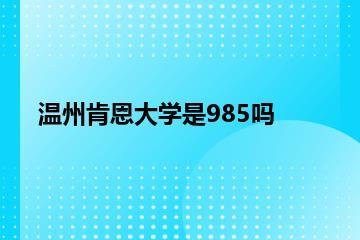 温州肯恩大学是985吗？