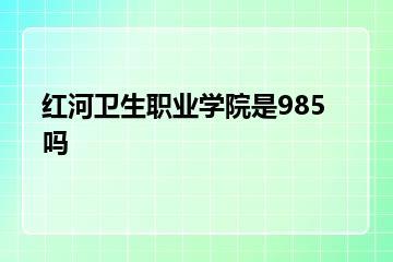 红河卫生职业学院是985吗？