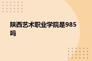 陕西艺术职业学院是985吗？