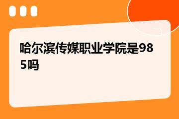 哈尔滨传媒职业学院是985吗？