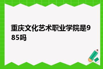 重庆文化艺术职业学院是985吗？
