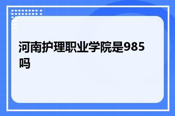 河南护理职业学院是985吗？