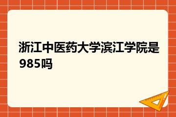 浙江中医药大学滨江学院是985吗？
