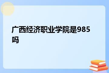 广西经济职业学院是985吗？