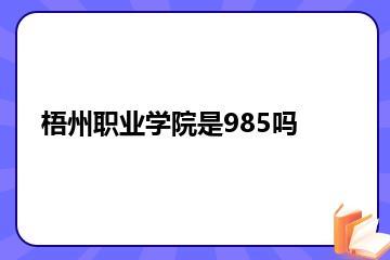 梧州职业学院是985吗？