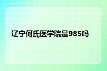 辽宁何氏医学院是985吗？