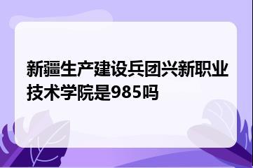 新疆生产建设兵团兴新职业技术学院是985吗？