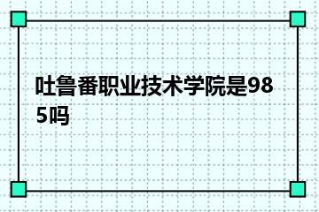 吐鲁番职业技术学院是985吗？