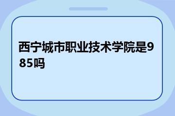 西宁城市职业技术学院是985吗？
