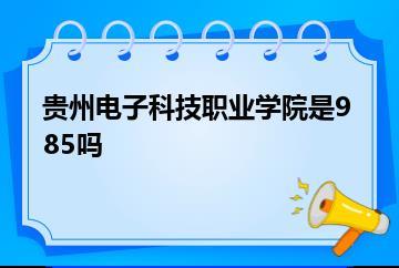 贵州电子科技职业学院是985吗？